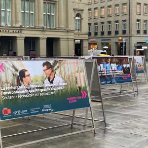 pespektiveschweiz bild